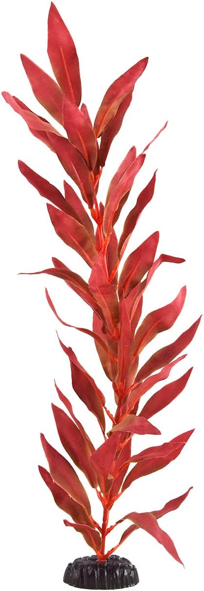 Underwater Treasures Silk Red Hygro - 20"...
