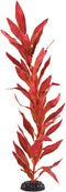 Underwater Treasures Silk Red Hygro - 20"...