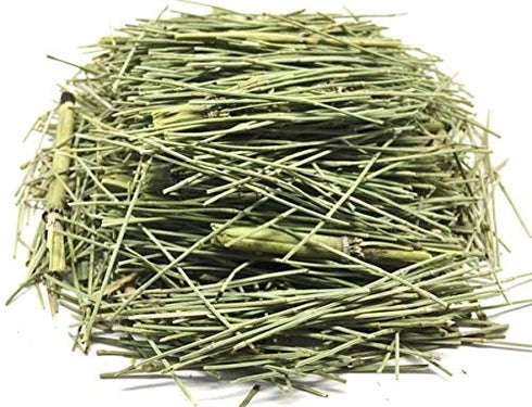 Horsetail Tea Cola de Caballo Hierba Herbal Tea Zip-Lock Bag (30g) 1.06oz- 100% Natural and Caffeine Free Detox...