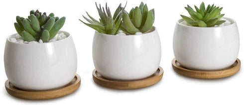 6pcs 3 inch Bamboo Round Plant Saucer, Mini Flower Pot Tray for Cactus Plant Pot Flower Pot Container Planter Bonsai Pots,no Plants Pot...
