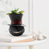 Black Cat Head with Hat Flowerpot Small Cute Animal Air Plants Pot Resin Succulent Pots Ornaments with Drainage Hole Lovely Desktop Greenery Decor...