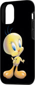 iPhone 12/12 Pro Looney Tunes Tweety Bird Airbrushed Case...