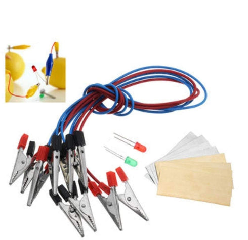 Fruit Battery Light Diode Science Kit Orange Potato Lemon Battery Physics Teaching Experiment...