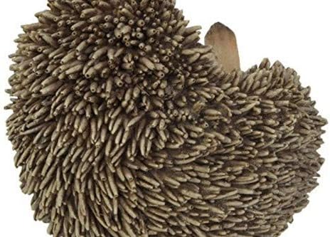 Hi-Line Gift Ltd Hedgehog on Back Statue...
