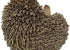 Hi-Line Gift Ltd Hedgehog on Back Statue...