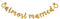 Almost Married Banner, Gold Paper Sign for Wedding Rehearsal Engagement Party Decors...