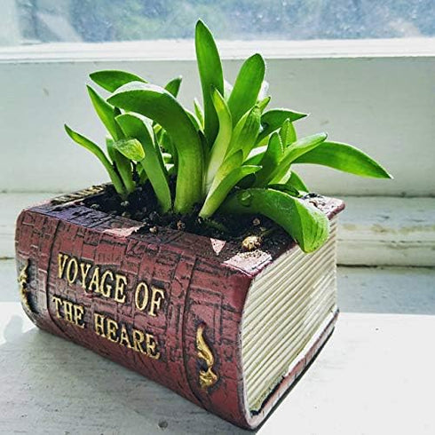Succulent Pots, Cute Resin Animal Flower Planters Decorations, 4 Inches, Creative Pot for Sempervivum with Drainage, Gift for Women, Man, Office a...