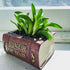 Succulent Pots, Cute Resin Animal Flower Planters Decorations, 4 Inches, Creative Pot for Sempervivum with Drainage, Gift for Women, Man, Office a...