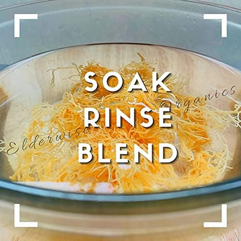 Sea Moss | WILDCRAFTED | 2.5 oz that makes 64 oz of gel | Raw + Non GMO | Sundried | MINERAL RICH | Saint Lucia Sea Moss | GOLDEN...