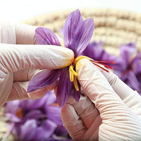 Zaffrus - Certified Organic Premium Saffron Powder for Cooking Saffron Rice, Paella, Risotto, Soup, Desserts & Herbal Teas. Pack of 6 (.75 gram/ ....