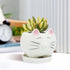 GeLive Cute Cat Succulent Planter Pot with Drainage Tray, White Ceramic Plant Container, Window Box, Unique Animal for Indoor Home Decor (White)...