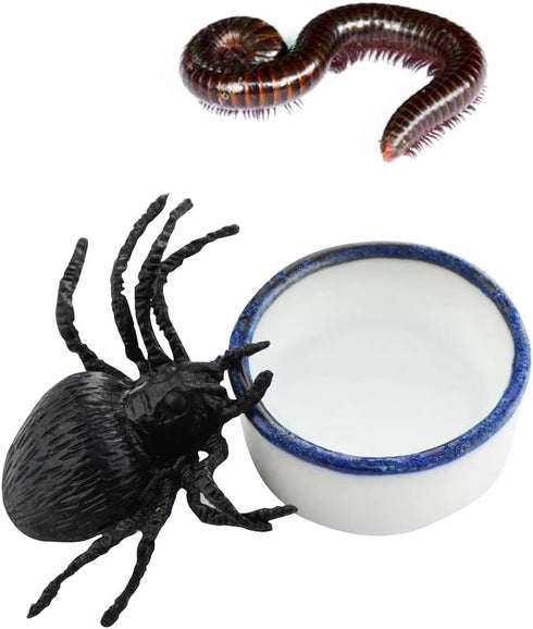 6 Pcs Spider Micro Water Bowl Mini Ceramic Dish for Spider Tarantula Millipede Tiny Reptile (Small: 0.86" D, 0.43" H)...