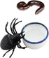 6 Pcs Spider Micro Water Bowl Mini Ceramic Dish for Spider Tarantula Millipede Tiny Reptile (Small: 0.86" D, 0.43" H)...