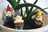Miniature Gnome Figurines Fairy Gardens Gnomes Fairy Garden Accessories Gift for Garden Little Gnomes...