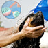 2Pcs Pet Bath Grooming Brush Dog Cat Bath Brush Soft Silicone Dog Shower Brush with Shampoo Dispenser Suitable For Washing Shampooing Massaging Pe...