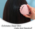 2 Pcs Scalp Massage Brushes Comfortable Scalp Care Brushes Deep Cleaning Shampoo Brushes for Hair Care and Head Relaxation(Shampoo Massage Brush)...