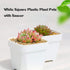 OJYUDD 3inch White Square Plastic Pots with Saucer, Drainage Hole, 24 Pcs, for Flower/Plant, Home,Company,Office and Garden(White)...