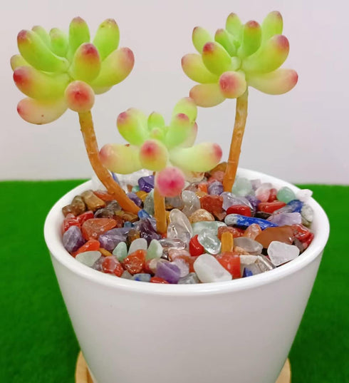 Decorative Tumbled Gravel Chakra Colorful Crystals Chip Polished Bulk Natural Gem Aquarium Gravel Rocks Pebbles Fish Tank Gravel Vase Filler Succu...