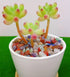 Decorative Tumbled Gravel Chakra Colorful Crystals Chip Polished Bulk Natural Gem Aquarium Gravel Rocks Pebbles Fish Tank Gravel Vase Filler Succu...