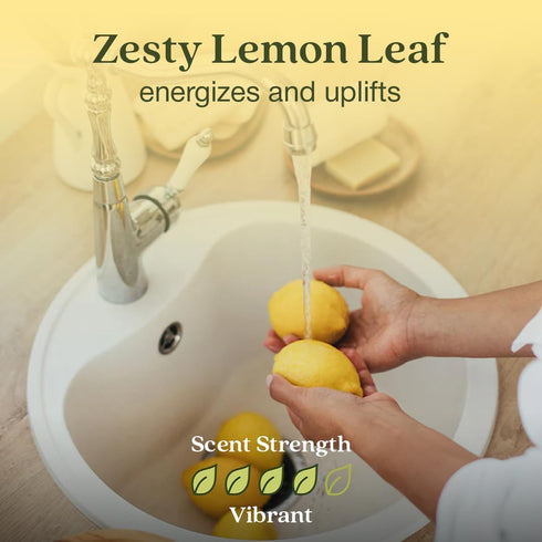 Enviroscent Non Toxic Air Freshener (Lemon Leaf & Thyme) Plug-in Air Freshener for Home | Essential Oil Plug In | Home Fragrance Last 45+ Days | 1...