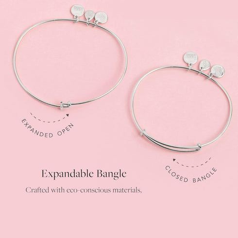 Alex and Ani Divine Guides Expandable Bangle Bracelet for Women, Jesus Engraved Charm, Rafaelian Finish, 2 to 3.5 in...