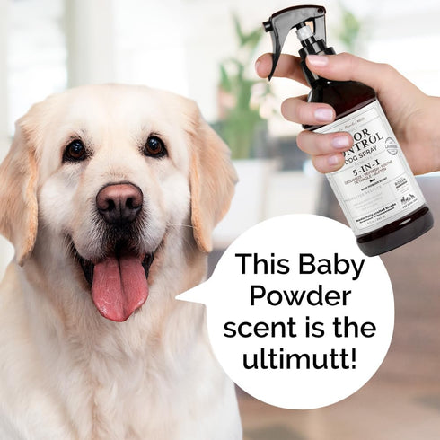 5-in-1 Odor Control Dog Spray, 240ml/8 fl oz, Spray for Dogs with Odor Issues, Oatmeal, Lavender and Tea Tree Oil, Detangles Fur...