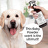 5-in-1 Odor Control Dog Spray, 240ml/8 fl oz, Spray for Dogs with Odor Issues, Oatmeal, Lavender and Tea Tree Oil, Detangles Fur...