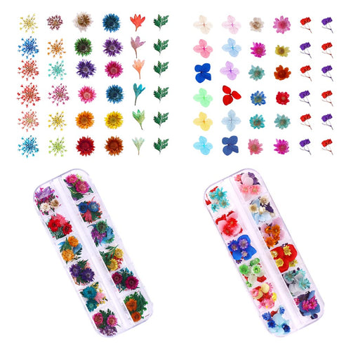 216PCS Dried Flowers Nail Art - Nail Art Accessories Kits, 57 Color Lovely Natural Flower Nail Art, Dried Flowers for Resin Molds, Dry Flowers for...