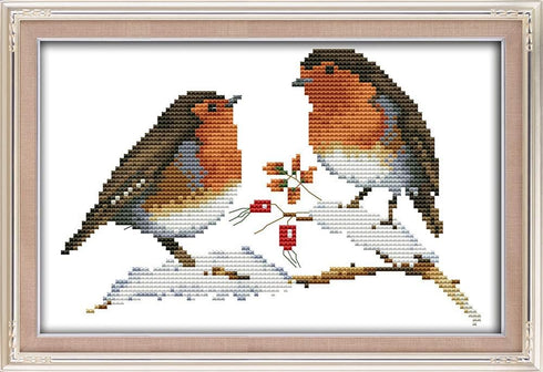Abillyn Embroidery Cross Stitch Kits Two Little Birds Stamped with Printed Pattern Starter Kit (Birds)...