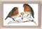 Abillyn Embroidery Cross Stitch Kits Two Little Birds Stamped with Printed Pattern Starter Kit (Birds)...