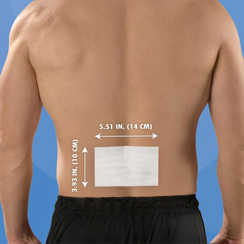 HealthWise Cold Therapy Menthol Pain Relief Patch | 5% Menthol | Back and Large Areas | 3.93” x 5.51” | 15-Count | Soothes Minor Aches and Pains |...