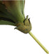 JUSTOYOU Large Artificial Succulents Aloe Plants Real Touch Fake Flowers Unpotted for Home Wedding Festival Arrangement (1, Green-Red)...