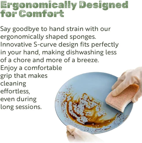 12PCS Natural Kitchen Sponges - Biodegradable Non-Scratch Cellulose and Coconut Fiber Sponge - Pack of 12 Compostable Sustainable and Durable Spon...