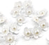 Cute White Flower Shank Sewing Buttons 20 Pcs - 25mm, 1"...