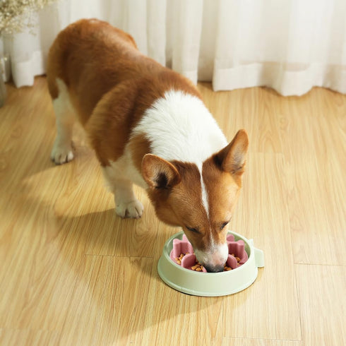 Slow Feeder Dog Bowls Insert, Animire Soft Silicone Anti-Choking Puzzle Slow Feeder, Anti-Slip Slow Down Eating Feeder Insert, Compatible with Reg...