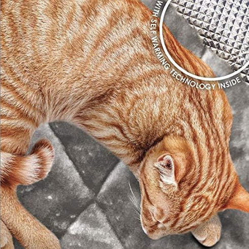 Furhaven ThermaNAP Self-Warming Cat Bed for Indoor Cats & Small Dogs, Washable & Reflects Body Heat - Quilted Faux Fur Reflective Bed Mat - Gray, ...