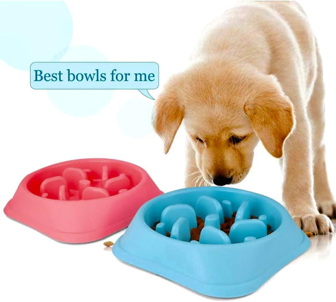Slow feeder dog bowl. Puzzle activity bowl...