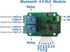 DSD TECH 2 Channel Bluetooth 4.0 BLE Relay Module for iPhone and Android(12V)......