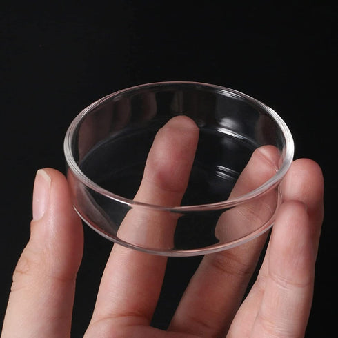 60 mm/65 mm Redondo Aquário Vidro Camarão Alimento Tigelas de Prato Reptiles Água Alimentos Prato Tigela AlimentadoraAilinda 65MM...