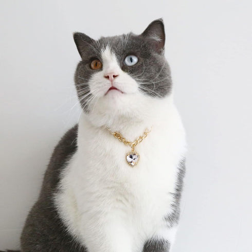 Cat Necklace Collar with Heart Rhinestone Pendant, Lightweight Adjustable Shine Diamond Cute Girl Wedding Birthday Party Pet Necklace Costume Acce...