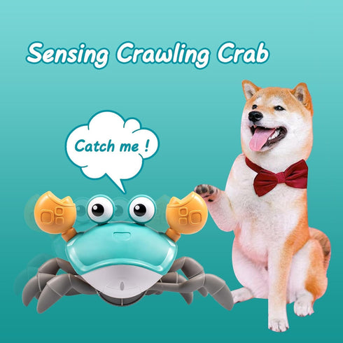 Dog Toys Escaping Crab Crawling Dog Toy with Music Control & Lights, Dancing Crab Dog Toy Obstacle Avoidance Interactive Fun Toys for Puppy/Small/...