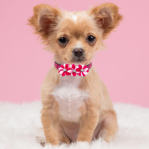 10 Pcs 4.4" Flowers Small Dogs Collar Charms Multi-Color Puppies Cats Slides Bow Ties Rhinestones Collar Attachment Pet Wedding Birthday Costume A...