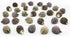 MAOMIA 36 Pcs Mini Hedgehog Figurines, Fairy Garden Hedgehog Miniature Figurines Moss Landscape DIY Terrarium Crafts Ornament Accessories Outdoor ...