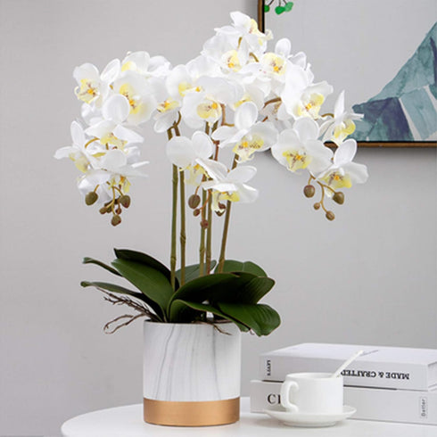 FagusHome 32" Artificial Phalaenopsis Flowers 6 Pcs with 4 Bundles Leaves Artificial Orchid Flowers Stem Plants for Home Décor (6Pcs)...