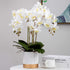 FagusHome 32" Artificial Phalaenopsis Flowers 6 Pcs with 4 Bundles Leaves Artificial Orchid Flowers Stem Plants for Home Décor (6Pcs)...