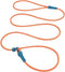 No Pull Dog Leash Slip Lead Dog Leash Dog Leash for Small Medium Large Dogs 6Ft 8 Colors Classic Dog Leash Dog Rope (Orange)...
