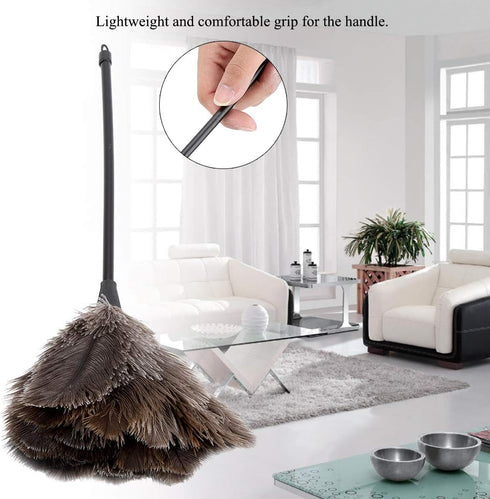 Ostrich Duster, Mini Handmade Duster Washable Reusable Ostrich Duster for Books Keyboard Office Home...