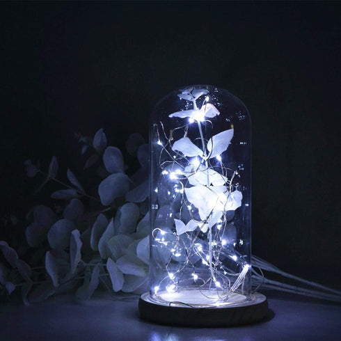 VOOKRY 12 Pack Fairy Lights Battery Operated, 30 LEDs Mini Starry String Lights 10 ft Silvery Copper Wire Lights, Works for DIY Wedding Centerpiec...