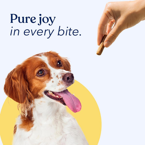 Honest Paws Dog Jerky Treats - All-Natural Jerky Dog Treats for Training Pets - Human Grade Bites - Real USA Chicken...