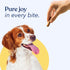 Honest Paws Dog Jerky Treats - All-Natural Jerky Dog Treats for Training Pets - Human Grade Bites - Real USA Chicken...